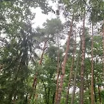 Roudna *